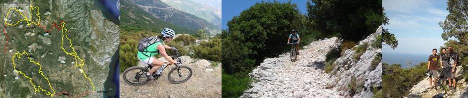 banner_top_mtb