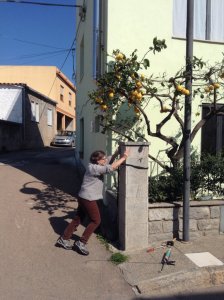 Anne rifissa la tegola di granito con Mille Chiodi