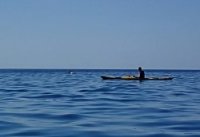 Delfin beim Kajakfahren an der Ostküste Sardiniens