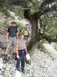Anne, David, Roger und Alan überprüfen Peters Beschreibung der Umrundung der Serra Oseli