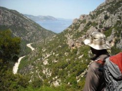 Escursioni a piedi in Ogliastra, Sardegna. Paddy ammira la Codula di Sisine